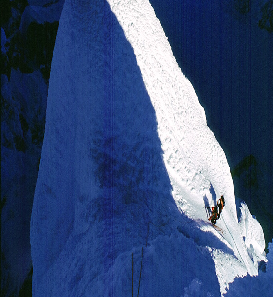 Gregory Crouch